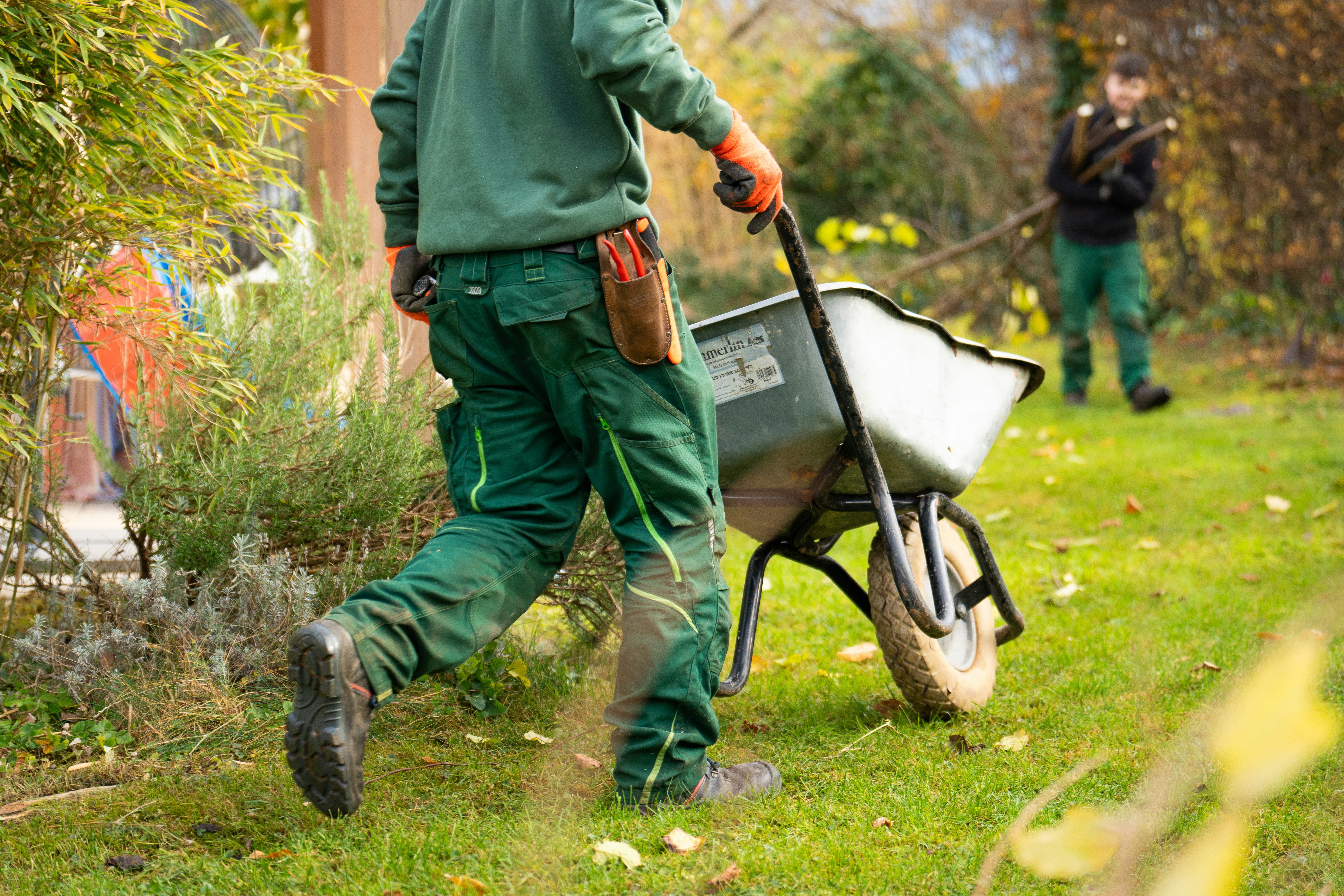Gartenpflege mit Schubkarre auf einer Rasenfläche